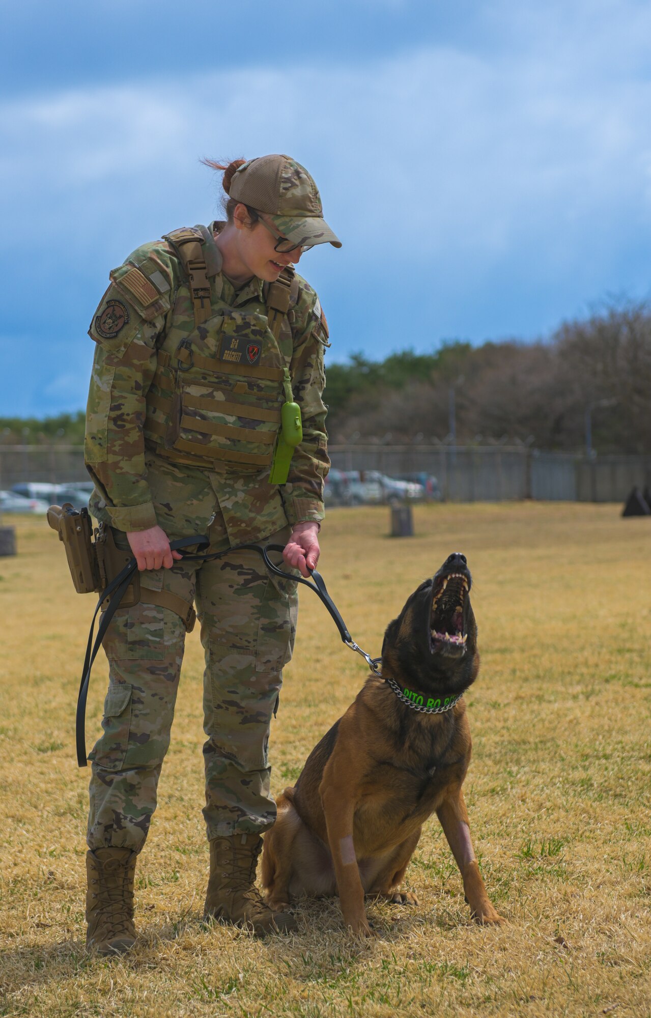 MWD handlers provide training to MWDs used in patrol as well as drug and explosive detection.