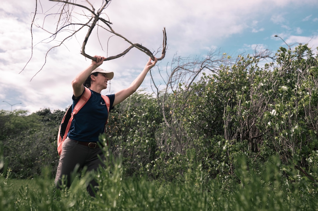 A Marine lifts a branch in an area surrounded by weeds.