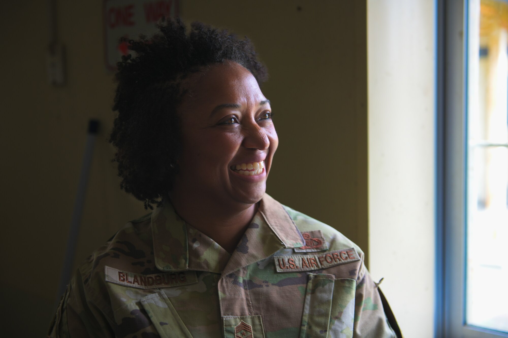 MWD handlers provide training to MWDs used in patrol as well as drug and explosive detection.