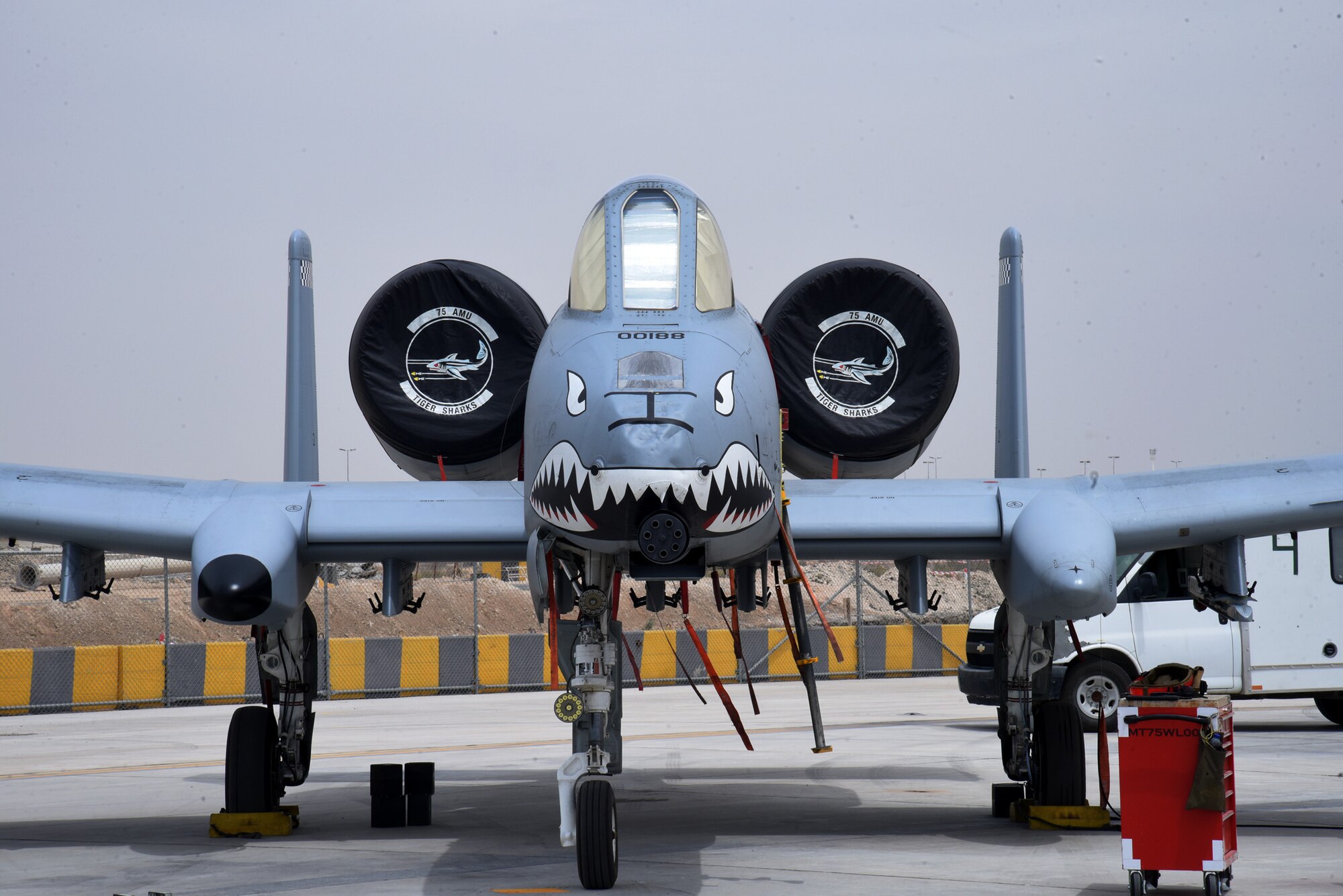 A U.S Air Force A-10 Thunderbolt II assigned to the 75th Expeditionary Fighter Squadron sits on the flight line at Al Dhafra Air Base, United Arab Emirates, waiting to be outfitted for first live-fire sortie of its deployment April 18, 2023. The deployment of A-10s in the region provides additional capability in the Middle East alongside fighter aircraft. Ninth Air Force (U.S. Air Forces Central) is committed to ensuring security and stability alongside our partners in the U.S. Central Command area of responsibility. (U.S. Air Force photo by Tech. Sgt. Chris Jacobs/released)