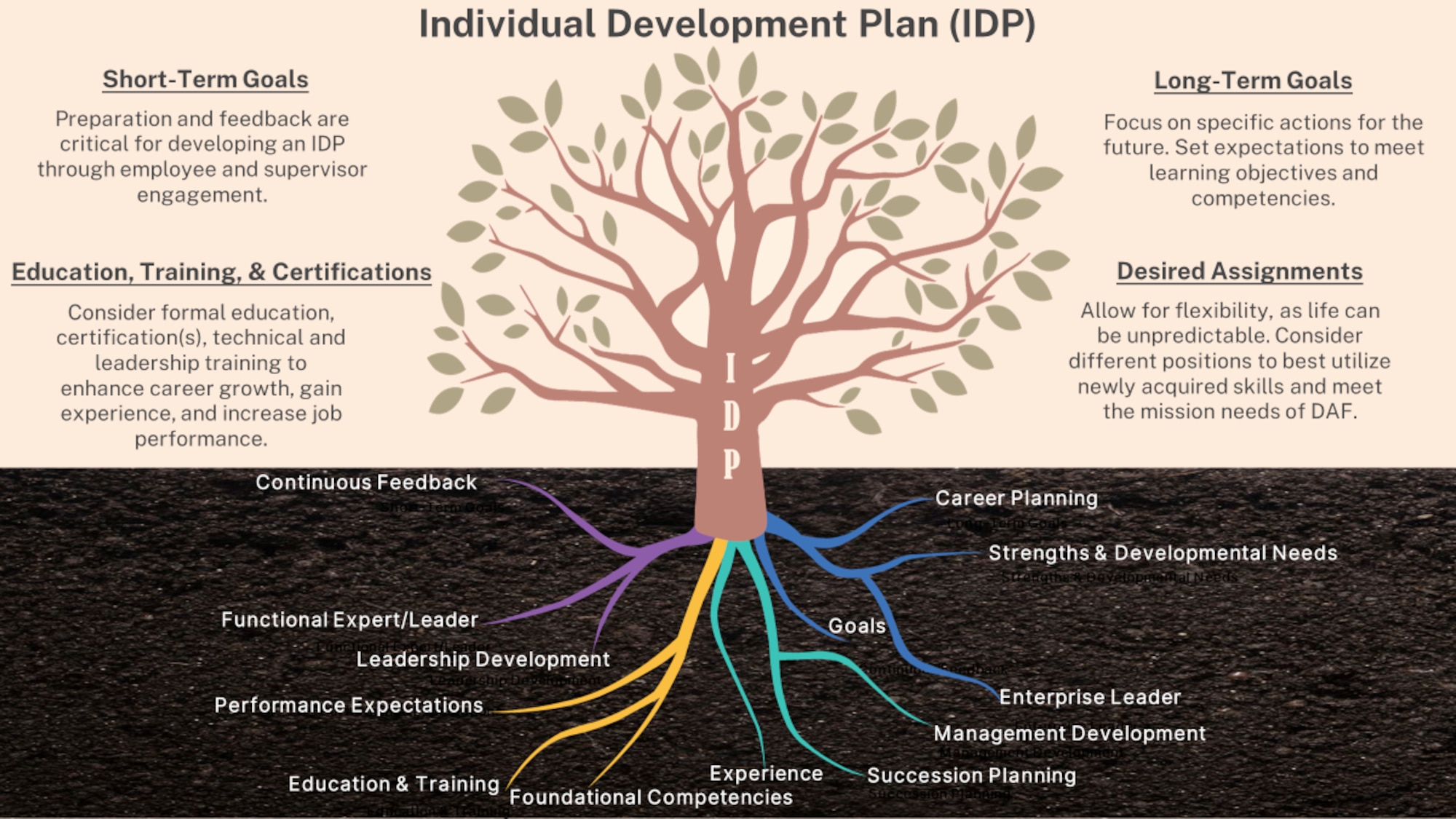 Individual Development Plan (IDP)