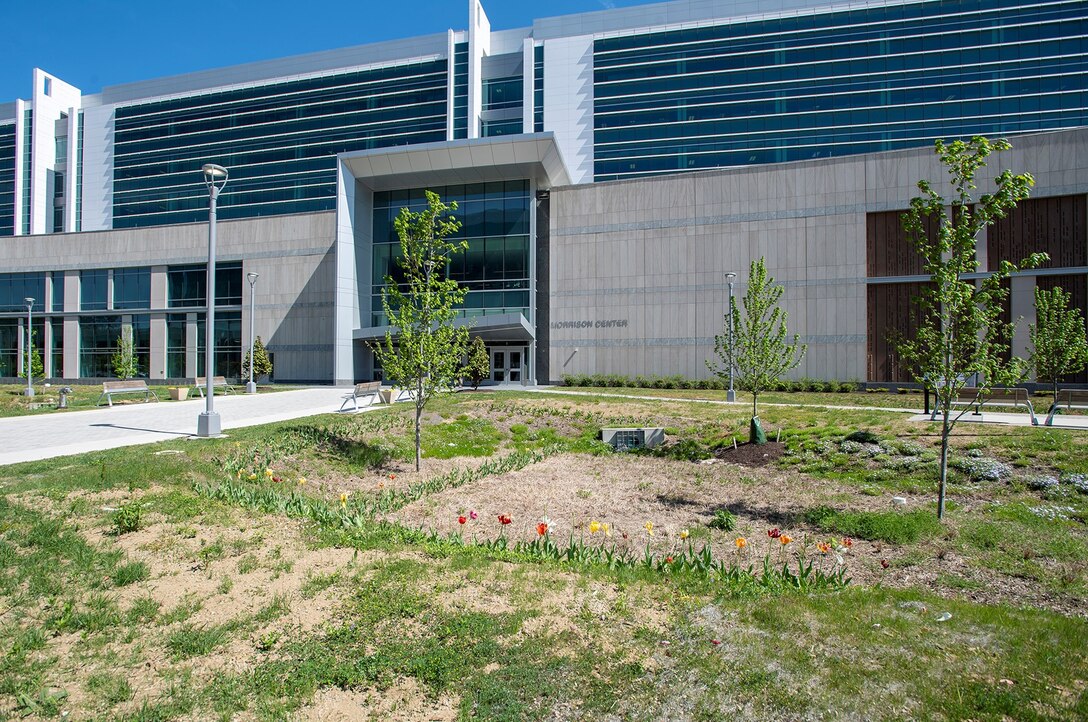 Green lawn outside the front of the Morrison Center