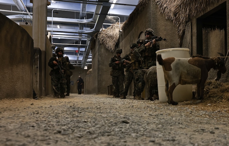 Camp Lejeune Indoor Infantry Immersion Training