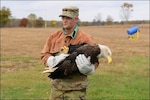 Soldiers participate in bald eagle releases at Camp Ripley Training Center. The Minnesota Army National Guard Sustainability Team works with staff and units to instill sustainable practices within all operations, empowering all components of the organization to enhance environmental activities.