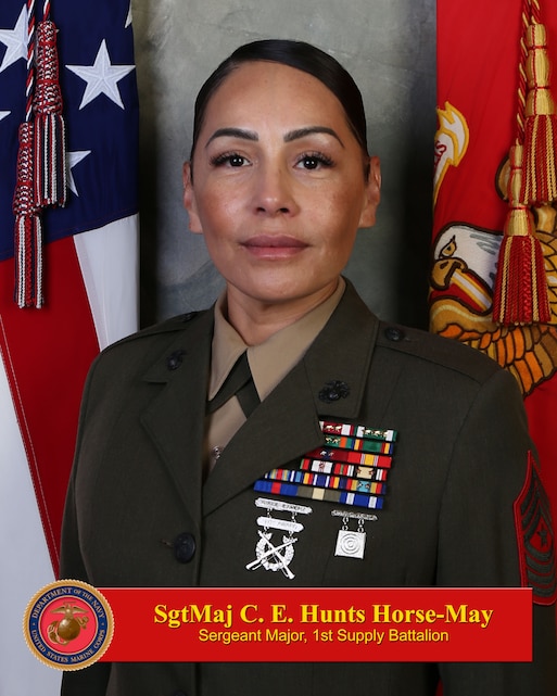 Sergeant Major Christina E. Hunts Horse-May > 1st Marine Logistics ...