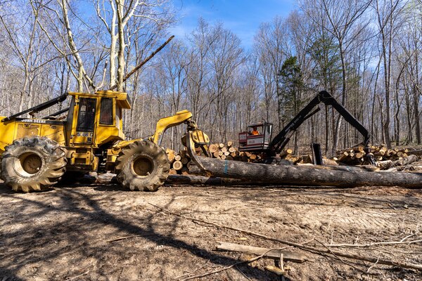 Barry Tucker, Louisville District forester, stands near harvested timber.