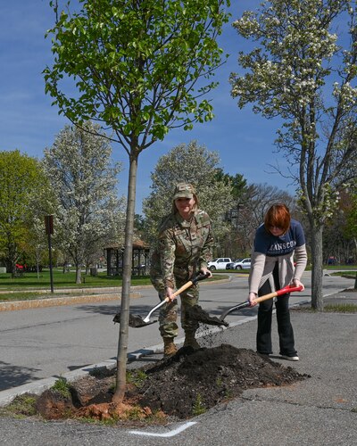 image of two people planting a tree