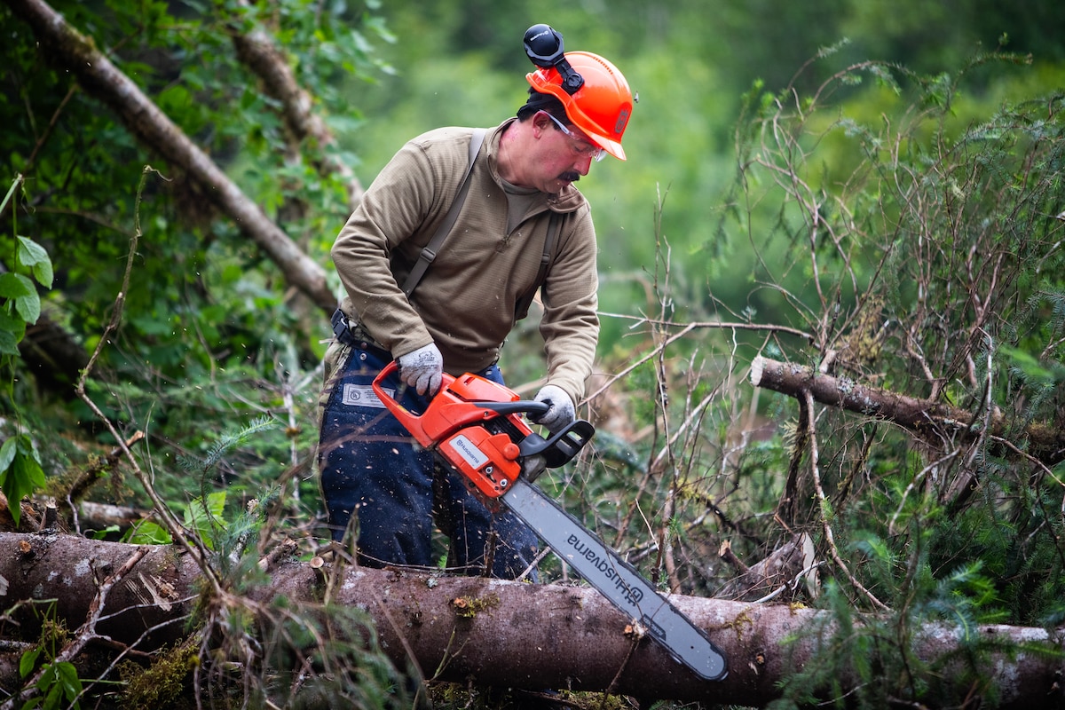 Alaska Air National Guard Tech. Sgt. Robert Neff, an engineering craftsman from the 176th Civil Engineer Squadron, cuts a tree as part of an Innovative Readiness Training project at Shepard Point near Cordova, Alaska, July 26, 2023. Twelve 176th Wing Guardsmen are clearing a 5.5-acre site for the Shepard Point Marine Tribal Transportation Oil Spill & Marine Casualty Response Facility.