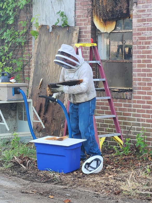 Honeycombs are vacuumed to extract bees prior to their storage during extraction, Jul. 26, 2023.