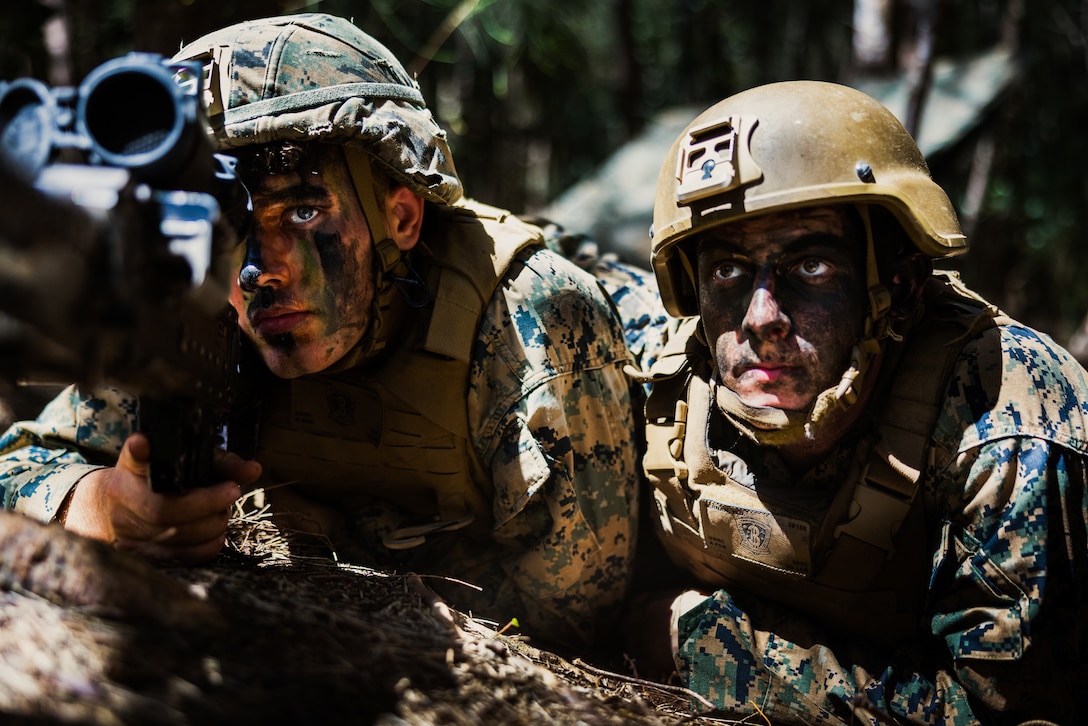 U.S. Marine Corps Lance Cpl. Jack Collins, left, and Lance Cpl. William Hernan, both motor transportation operators with 3d Littoral Logistics Battalion, 3d Marine Littoral Regiment, 3d Marine Division, set security with an M240B machine gun during a field exercise at Kahuku Training Area, Hawaii, July 26, 2023. The training aims to refine littoral sustainment team techniques to execute future missions better and validate standard operating procedures.