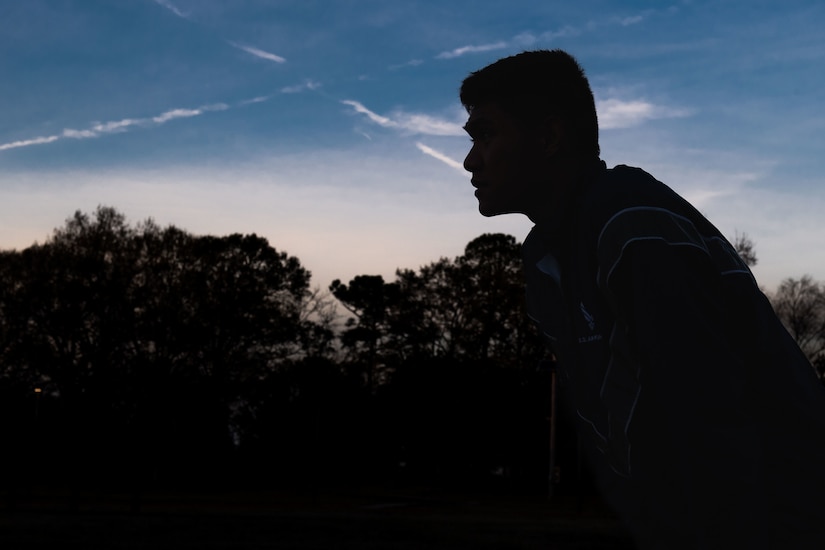 Upper half of an airmen is shown in sihouette with trees and a blue sky background.