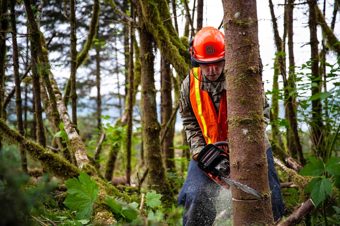 A guardsman uses a chainsaw to cut a tree in a wooded area.