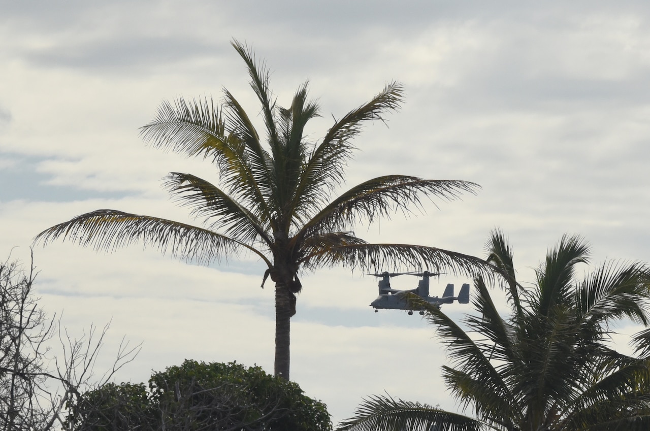 A military helicopter flies near the treeline.