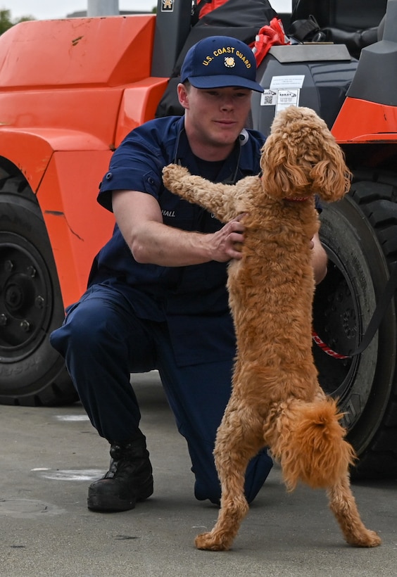 A Coast Guard Cutter Bertholf (WMSL 750) crew member greets his puppy after the cutter and crew returned to homeport in Alameda, Calif., Aug. 3, 2023. The Bertholf and crew deployed for 120-days for a Bering Sea patrol in support of United States national security, U.S. fishing fleet safety and prosperity, and the protection of U.S. living marine resources. (U.S. Coast Guard photo by Senior Chief Petty Officer Charly Tautfest)