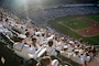SEATTLE (Aug. 1, 2023) Sailors attend a Seattle Mariners versus Boston Red Sox Major League Baseball game at T-Mobile Park during Seattle Fleet Week, Aug. 1, 2023. Seattle Fleet Week is a time-honored celebration of the sea services and provides an opportunity for the citizens of Washington to meet Sailors, Marines and Coast Guardsmen, as well as witness firsthand the latest capabilities of today’s U.S. and Canadian maritime services. (U.S. Navy photo by Mass Communication Specialist 2nd Class Madison Cassidy)