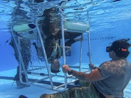 Man underwater.