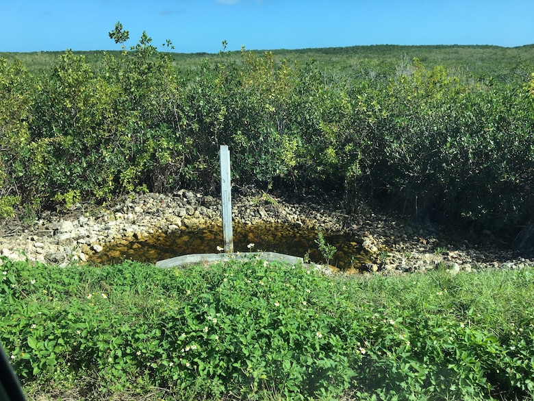 Water management infrastructure and downstream mangrove wetlands in the Biscayne Bay Coastal Wetlands project, an Everglades restoration project.