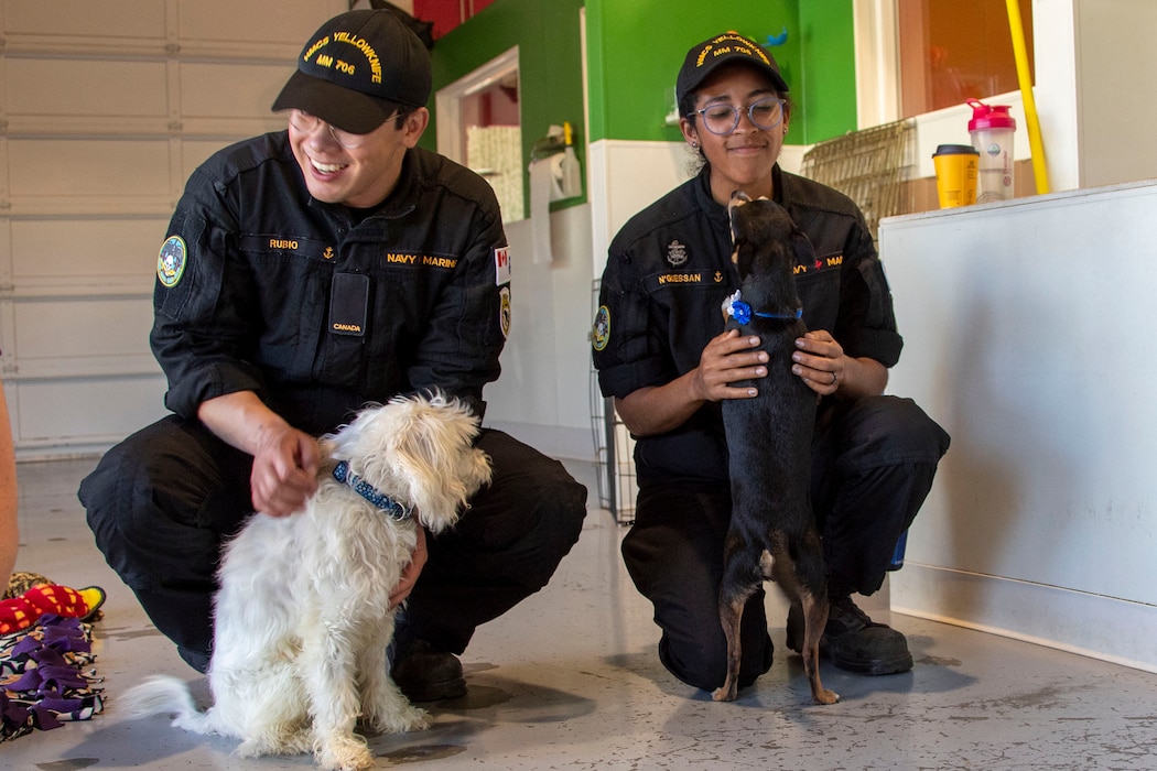 230804-N-YF131-1018 SEATTLE (Aug. 4, 2023) Sailors, assigned to the Kingston-class coastal defense vessel HMCS Yellowknife (MM 706) volunteer at Emerald City Pet Rescue during Seattle Fleet Week. Seattle Fleet Week is a time-honored celebration of the sea services and provides an opportunity for the citizens of Washington to meet Sailors, Marines and Coast Guardsmen, as well as witness firsthand the latest capabilities of today’s U.S. and Canadian maritime services. (U.S. Navy photo by Mass Communication Specialist 2nd Class Madison Cassidy)