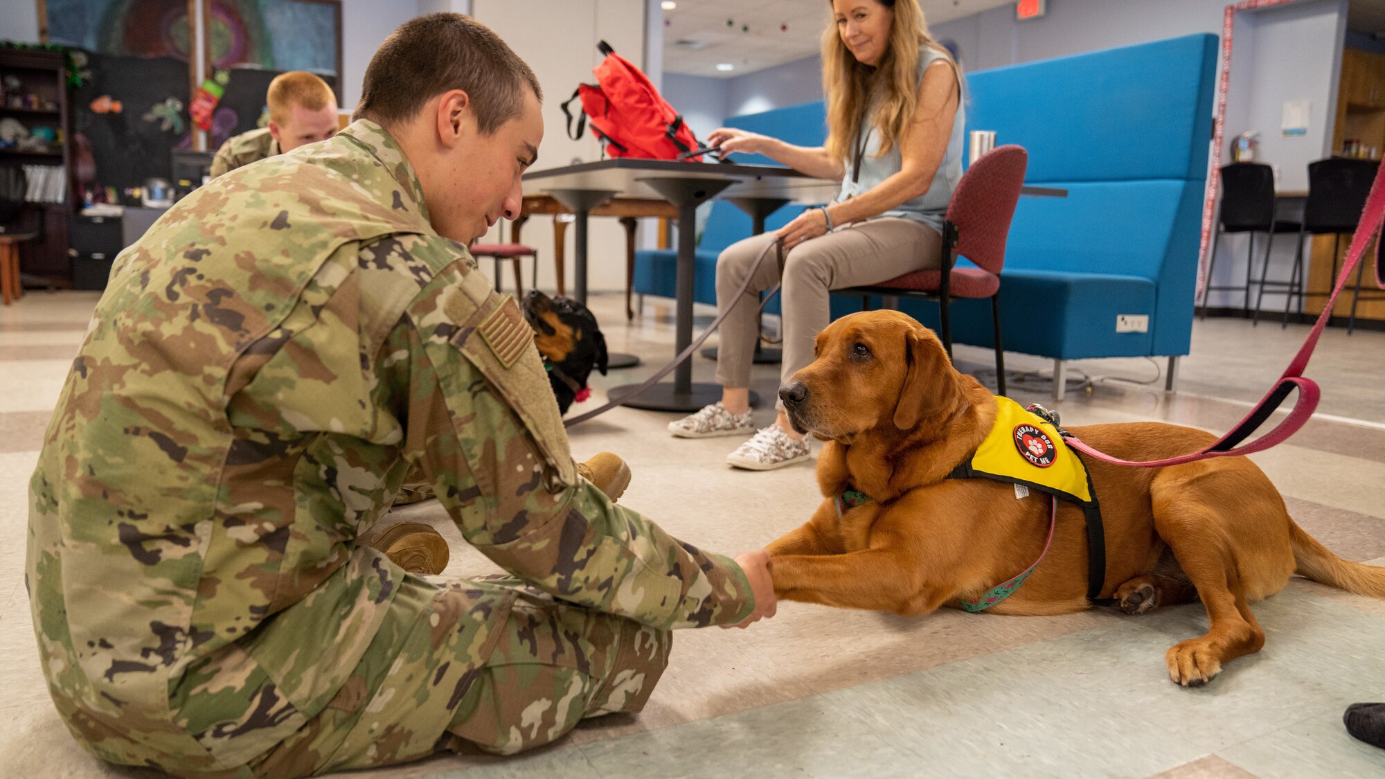 Airmen in training from the 81st Training Group engage with therapy dogs at the Levitow Training Support Facility on Keesler Air Force Base, Mississippi, July 13, 2023.