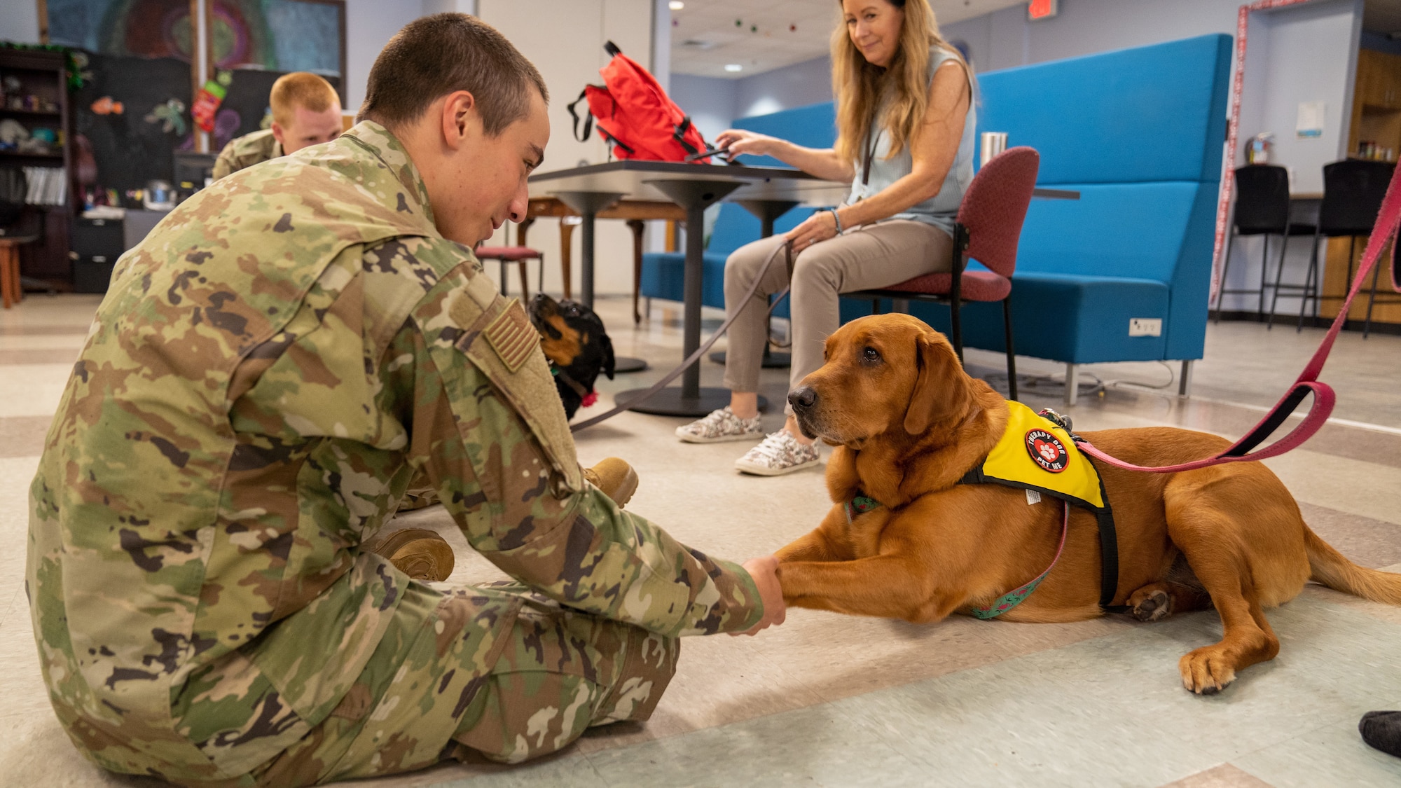 Airmen in training from the 81st Training Group engage with therapy dogs at the Levitow Training Support Facility on Keesler Air Force Base, Mississippi, July 13, 2023.