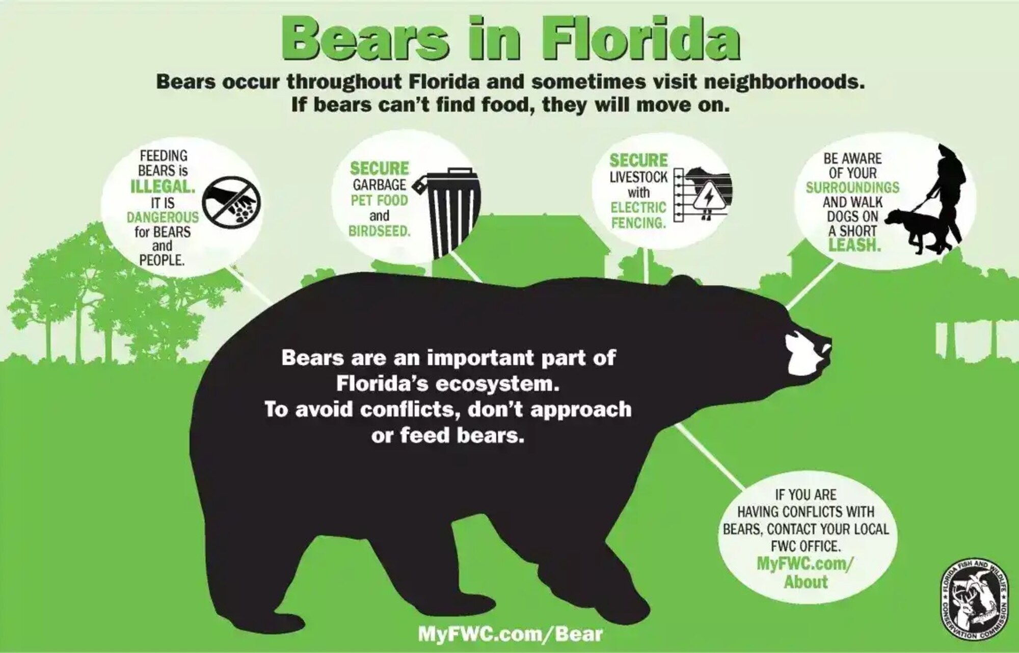 infographic about bear safety