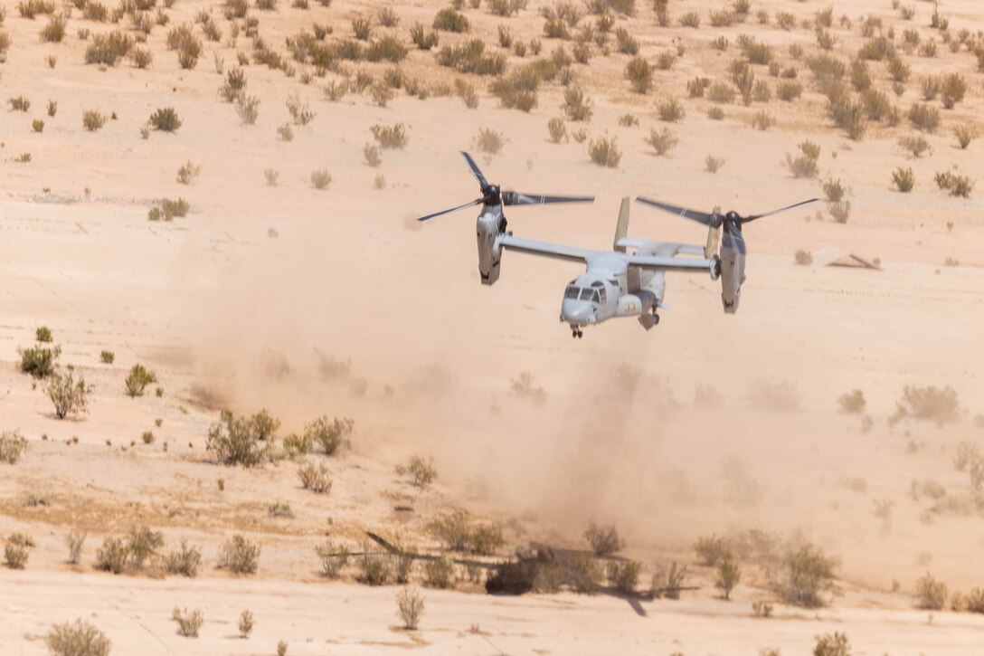 An Osprey hovers above the desert.