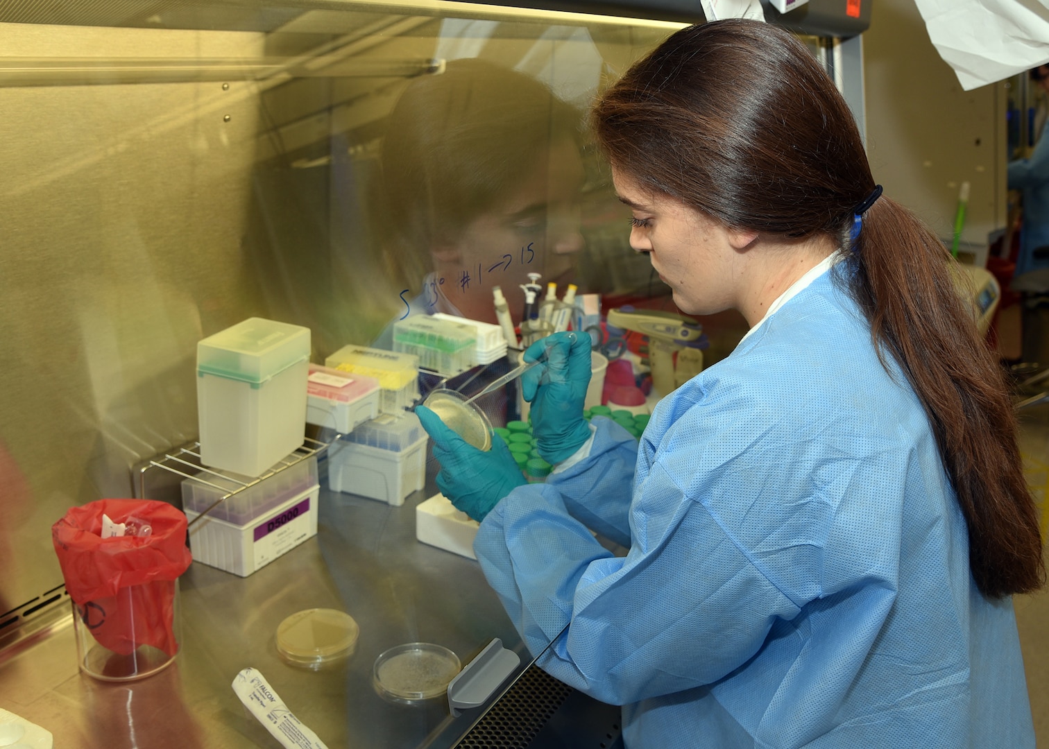 JOINT BASE SAN ANTONO-FORT SAM HOUSTON – (July 13, 2023) – Arizona State University graduate Gabriella Alessio, of Scottsdale, Ariz., an intern assigned to Naval Medical Research Unit (NAMRU) San Antonio, participated in the Office of Naval Research’s Naval Research Enterprise Internship Program (NREIP) at the Battlefield Health and Trauma Research Institute. NREIP places college and university students in the Department of the Navy laboratories where they take part in real Naval research for ten weeks during the summer. NREIP gives academically talented college students, graduating seniors, and graduate students pursuing STEM careers the opportunity to learn about Naval research and technology while receiving first-class mentoring by top scientists and engineers. NAMRU San Antonio is one of the leading research and development laboratories for the U.S. Navy under the Department of Defense (DoD) and is one of eight subordinate research commands in the global network of laboratories operating under the Naval Medical Research Command in Silver Spring, Md.  Its mission is to conduct gap driven combat casualty care, craniofacial, and directed energy research to improve survival, operational readiness, and safety of DoD personnel engaged in routine and expeditionary operations. (U.S. Navy photos by Burrell Parmer, NAMRU San Antonio Public Affairs/Released)