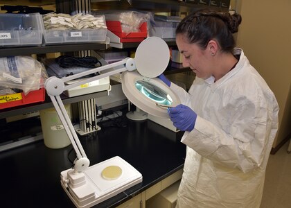 JOINT BASE SAN ANTONO-FORT SAM HOUSTON – (July 13, 2023) – Cornell University senior Victoria Capobianco, of Scarsdale, N.Y., an intern assigned to Naval Medical Research Unit (NAMRU) San Antonio, participated in the Office of Naval Research’s Naval Research Enterprise Internship Program (NREIP) at the Battlefield Health and Trauma Research Institute. NREIP places college and university students in the Department of the Navy laboratories where they take part in real Naval research for ten weeks during the summer. NREIP gives academically talented college students, graduating seniors, and graduate students pursuing STEM careers the opportunity to learn about Naval research and technology while receiving first-class mentoring by top scientists and engineers. NAMRU San Antonio is one of the leading research and development laboratories for the U.S. Navy under the Department of Defense (DoD) and is one of eight subordinate research commands in the global network of laboratories operating under the Naval Medical Research Command in Silver Spring, Md.  Its mission is to conduct gap driven combat casualty care, craniofacial, and directed energy research to improve survival, operational readiness, and safety of DoD personnel engaged in routine and expeditionary operations. (U.S. Navy photo by Burrell Parmer, NAMRU San Antonio Public Affairs/Released)