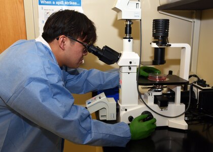 JOINT BASE SAN ANTONO-FORT SAM HOUSTON – (July 11, 2023) – Cornell University senior Tristan Tran, of Long Island, N.Y., an intern assigned to Naval Medical Research Unit (NAMRU) San Antonio, participated in the Office of Naval Research’s Naval Research Enterprise Internship Program (NREIP) at the Battlefield Health and Trauma Research Institute. NREIP places college and university students in the Department of the Navy laboratories where they take part in real Naval research for ten weeks during the summer. NREIP gives academically talented college students, graduating seniors, and graduate students pursuing STEM careers the opportunity to learn about Naval research and technology while receiving first-class mentoring by top scientists and engineers. NAMRU San Antonio is one of the leading research and development laboratories for the U.S. Navy under the Department of Defense (DoD) and is one of eight subordinate research commands in the global network of laboratories operating under the Naval Medical Research Command in Silver Spring, Md.  Its mission is to conduct gap driven combat casualty care, craniofacial, and directed energy research to improve survival, operational readiness, and safety of DoD personnel engaged in routine and expeditionary operations. (U.S. Navy photo by Burrell Parmer, NAMRU San Antonio Public Affairs/Released)