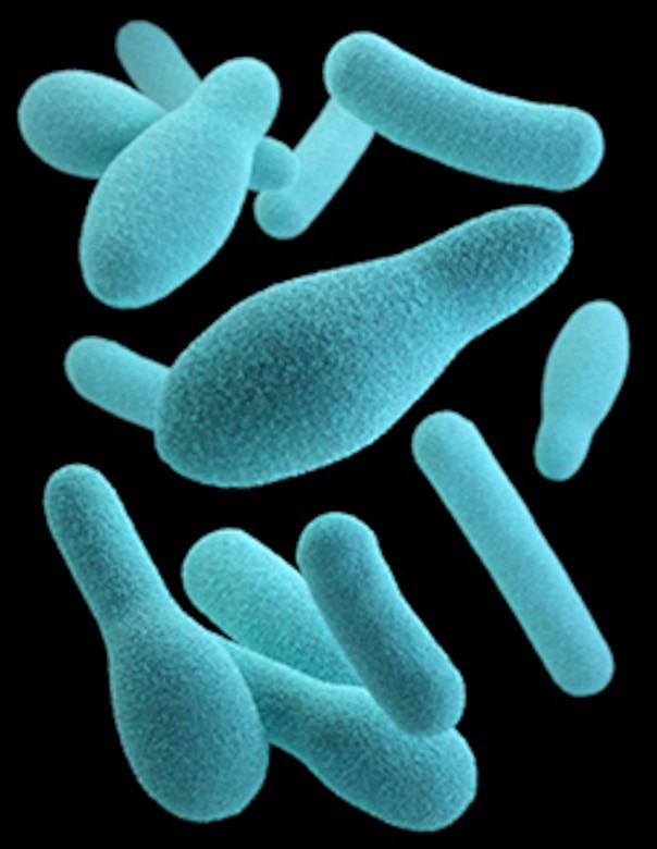 green microbes of the botulism toxin