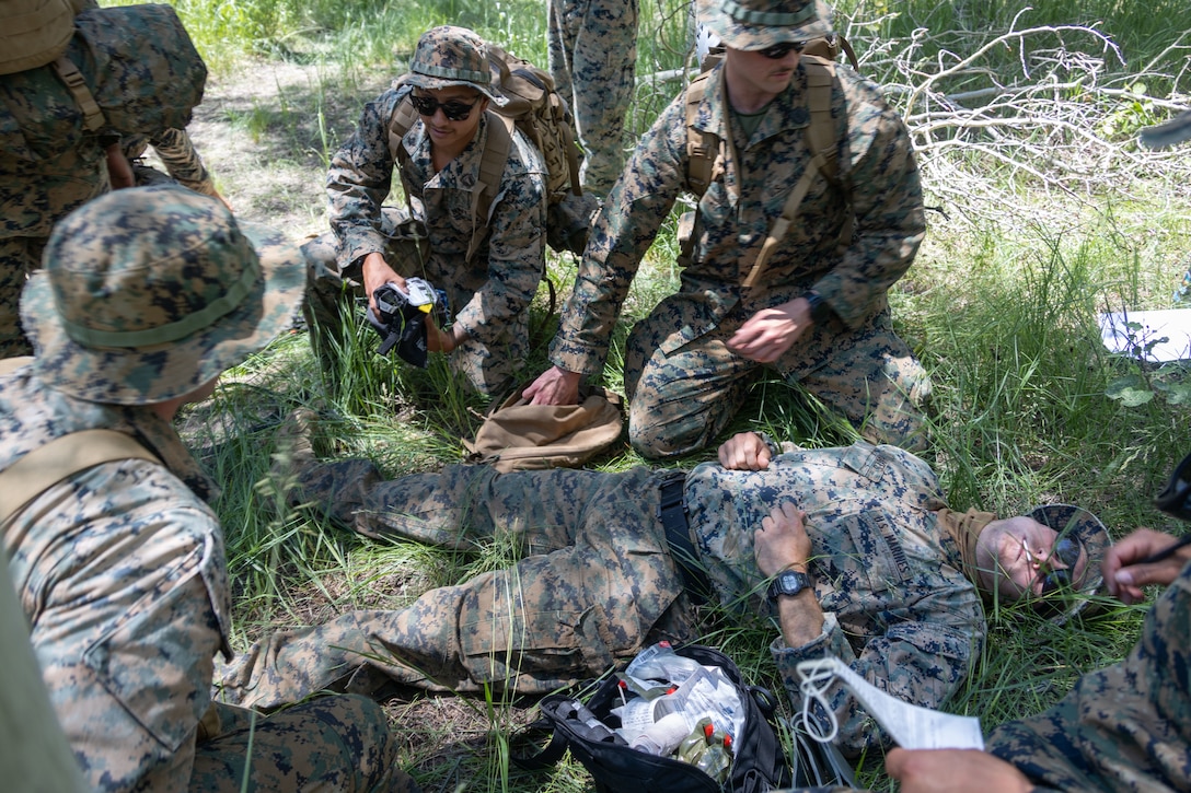 U.S. service members and German Army soldiers conduct medical aid on a simulated casualty, during Mountain Medicine (MMED) 1-23 at Marine Corps Mountain Warfare Training Center, Bridgeport, California, July 21, 2023. MMED challenges service members with various medical and technical problems common to mountainous environments in preparation for future conflicts in austere terrain. (U.S. Marine Corps photo by Lance Cpl. Anna Higman)