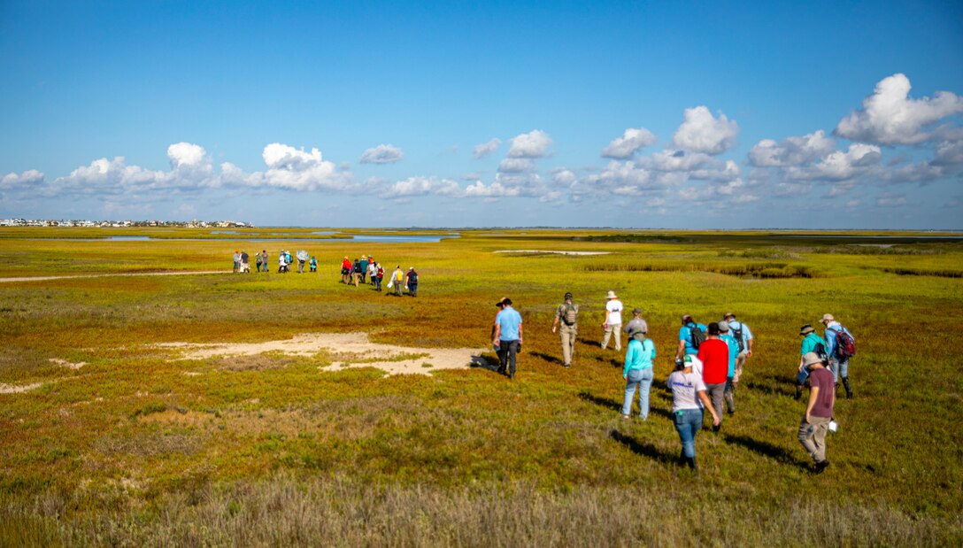 people are scattered walking in a field near water