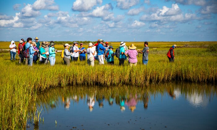 people are standing near water in a field