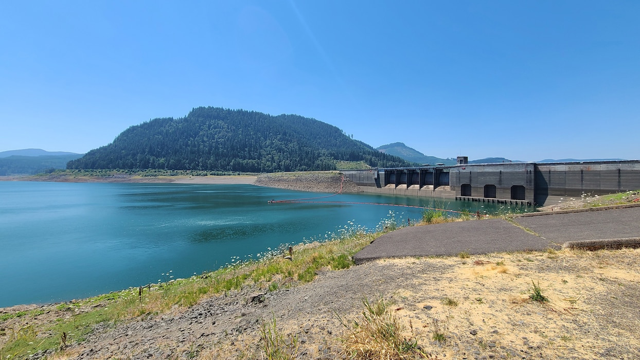 A clear blue sky lines the top of the frame.
A concrete wall that is part of a dam extends into the frame from the right, showing five dam spillway bays. The dam extends into the center of the frame, getting smaller, and ending at a large, pine-tree-covered hill in the center of the frame. 
Water is shown in front of the dam and extending to the left of the frame. The water is a beautiful green-blue. 
Near the bottom of the frame, below the concrete wall of the dam and closer to the photo-taker, is a slab of concrete that serves as the boat ramp. The boat ramp does not meet the water because the water is too low. On both sides of the boat ramp, there is dirt with green grass, weed-type flowers, and dried brown grass. 