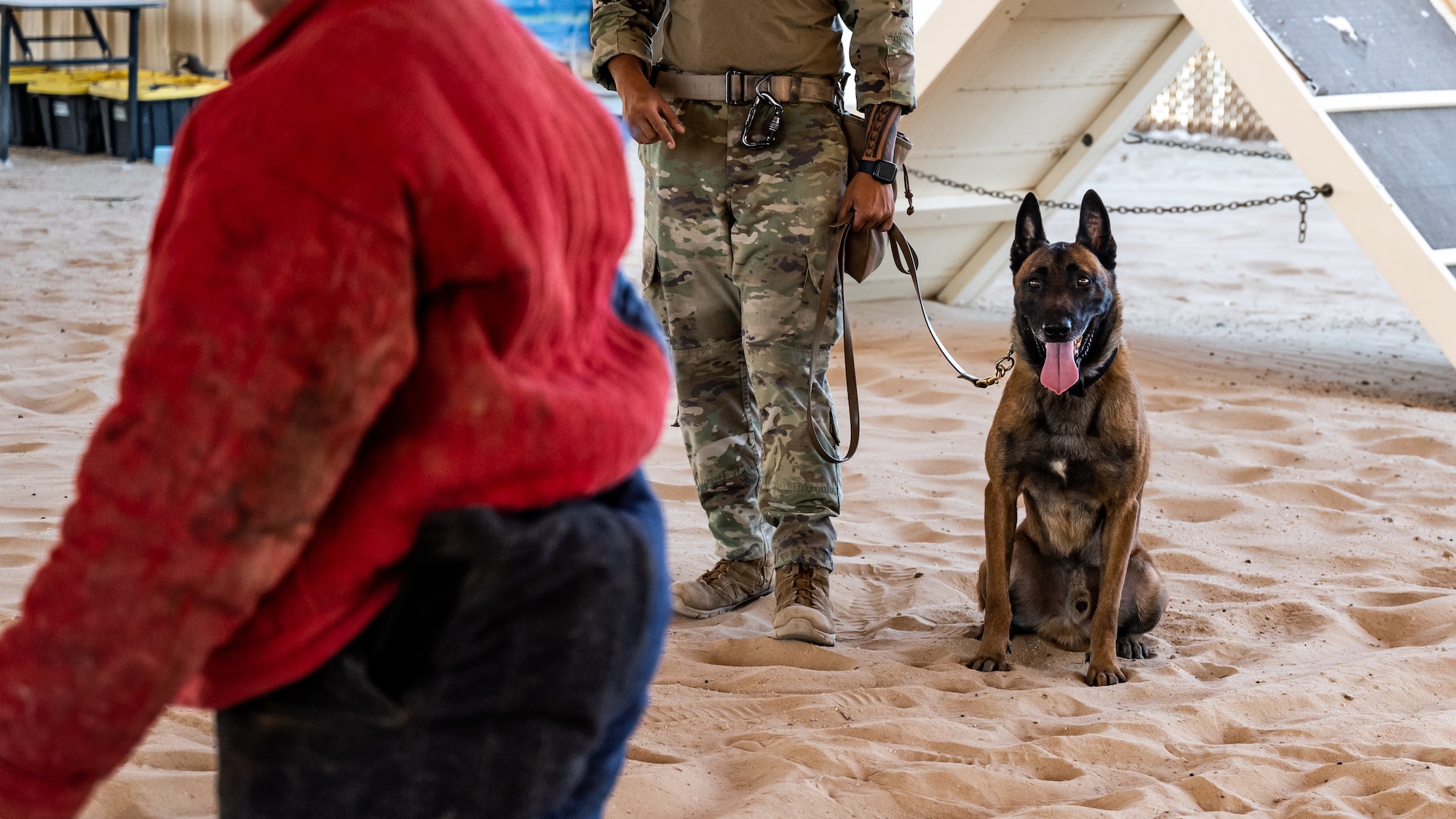 U.S. Air Force military working dog Betyar waits patiently for the command to strike during bite training at Ali Al Salem Air Base, Kuwait, July 26, 2023. Ali Al Salem Air Base is the largest hub for sending MWDs in and out of the U.S. Central Command area of responsibility. (U.S. Air Force photo by Staff Sgt. Kevin Long)