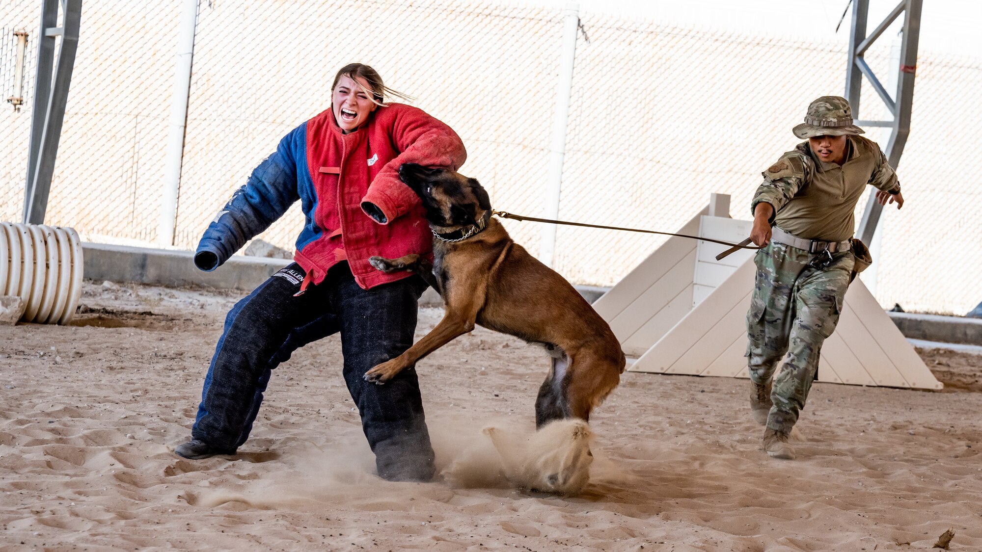 U.S. Air Force Senior Airman Christian Yadao, 386th Expeditionary Security Forces Squadron military working dog handler, commands MWD Betyar to take down Airman 1st Class Brayden Ash, 386th ESFS member, during bite training at Ali Al Salem Air Base, Kuwait, July 26, 2023. The MWD teams here train in tandem every day to accomplish their mission of defending and improving the installation along with fostering partnerships between coalition forces. (U.S. Air Force photo by Staff Sgt. Kevin Long)