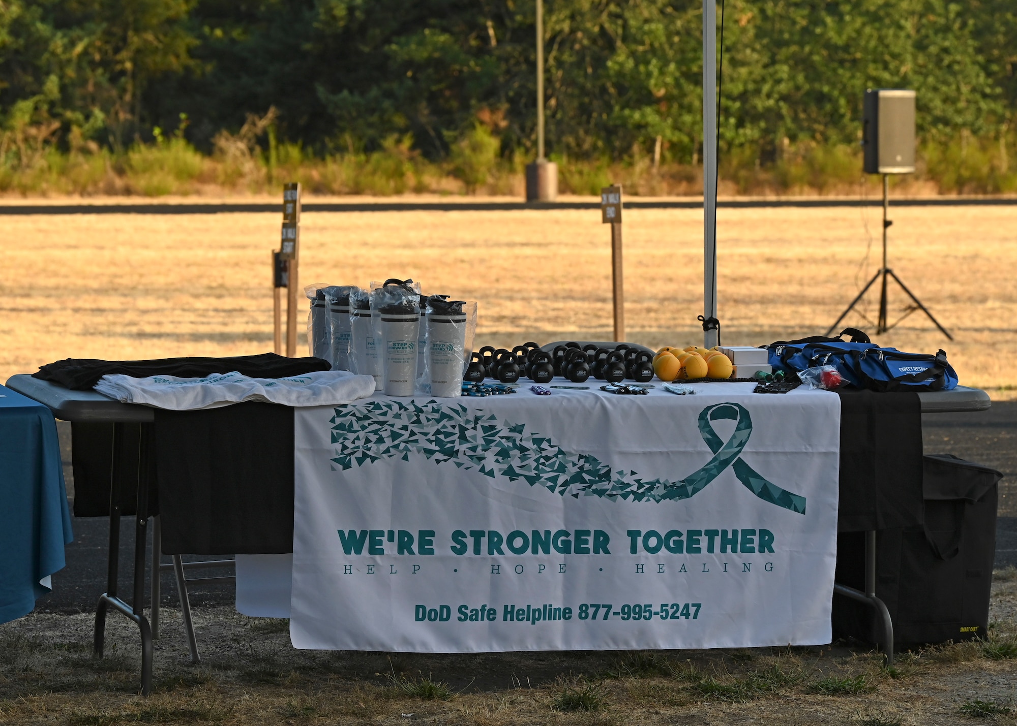 Domestic violence resources are available during the Dash for Danielle Memorial Run-A-Thon at Joint Base Lewis-McChord, Washington, Aug. 11, 2023. This year, Team McChord first sergeants hosted its second annual run-a-thon in honor of U.S. Air Force Master Sgt. Danielle Lynch, who lost her life in 2020 to domestic violence. (U.S. Air Force photo by Senior Airman Callie Norton)