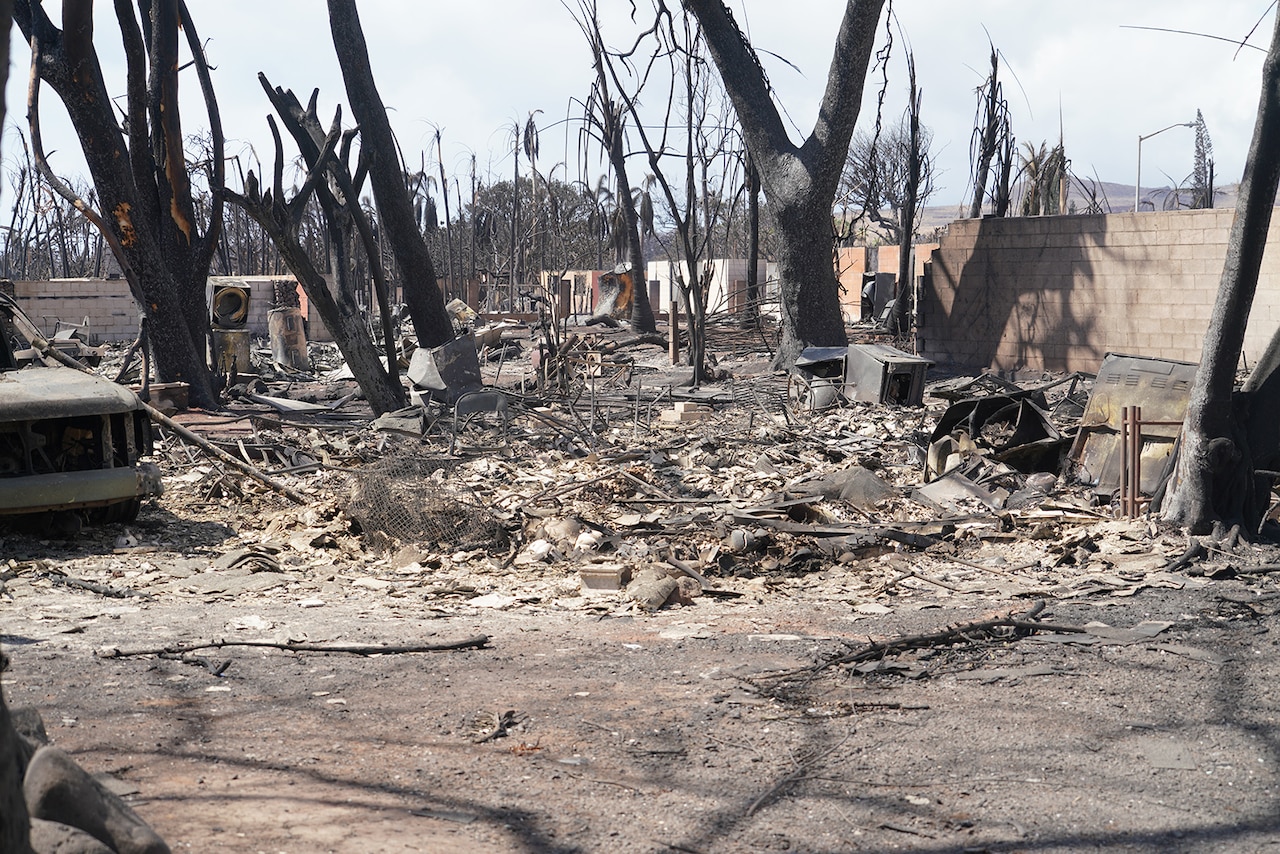 A burnt car and trees are left among the rubble in the aftermath of a wildfire.