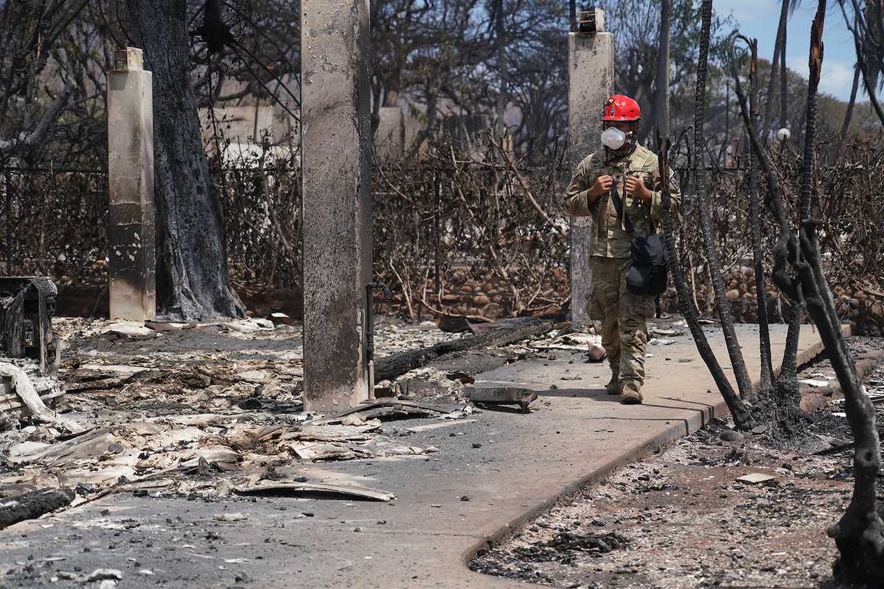 A National Guard member assesses wildfire damage in Maui, Hawaii.