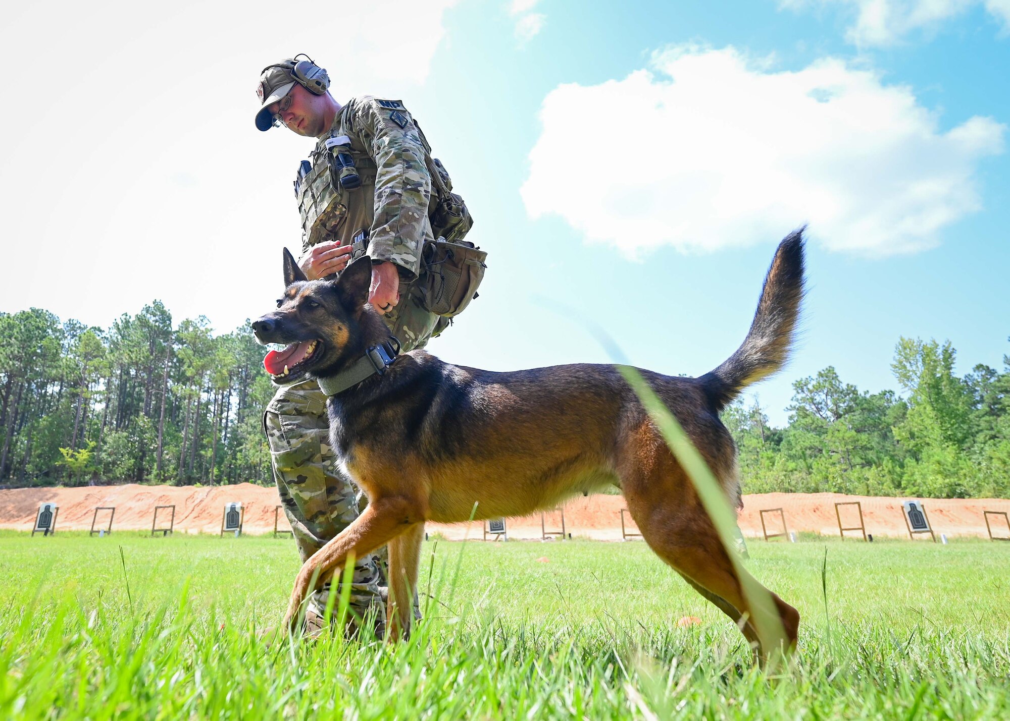 A soldier performs basic movements with his dog.