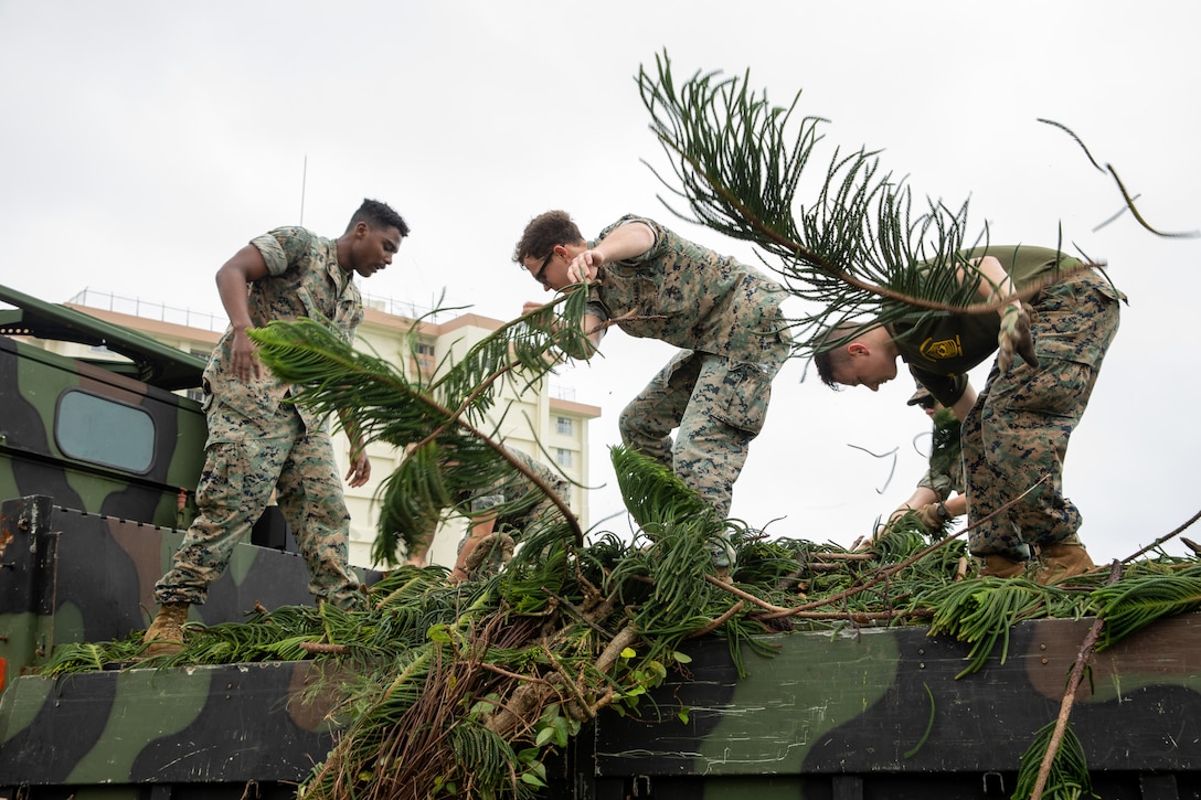 Marines remove tree branches from a truck.