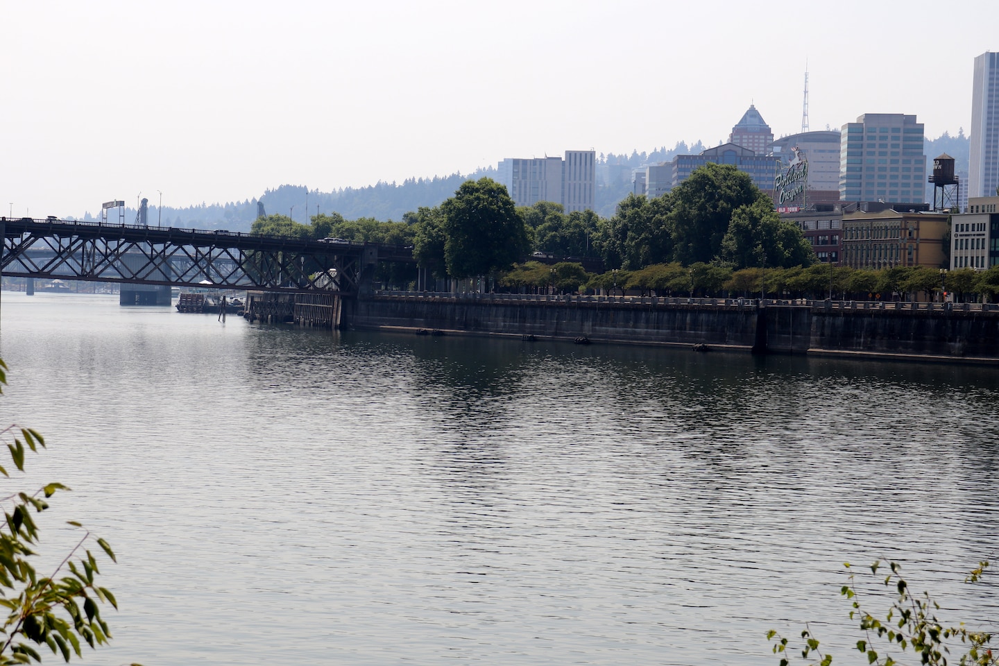 A river with bridge and city in the background.