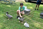 Joseph Stueckle pets a duck during an Exceptional Family Member Program event at the 66th Force Support Squadron family campground in Bedford, Mass., Aug. 9. The intent of EFMP educational activities is to improve the overall quality of life and build resilience in families involved with the program and is tied to the Air Force’s care solutions goal. (U.S. Air Force photo by Mark Herlihy)