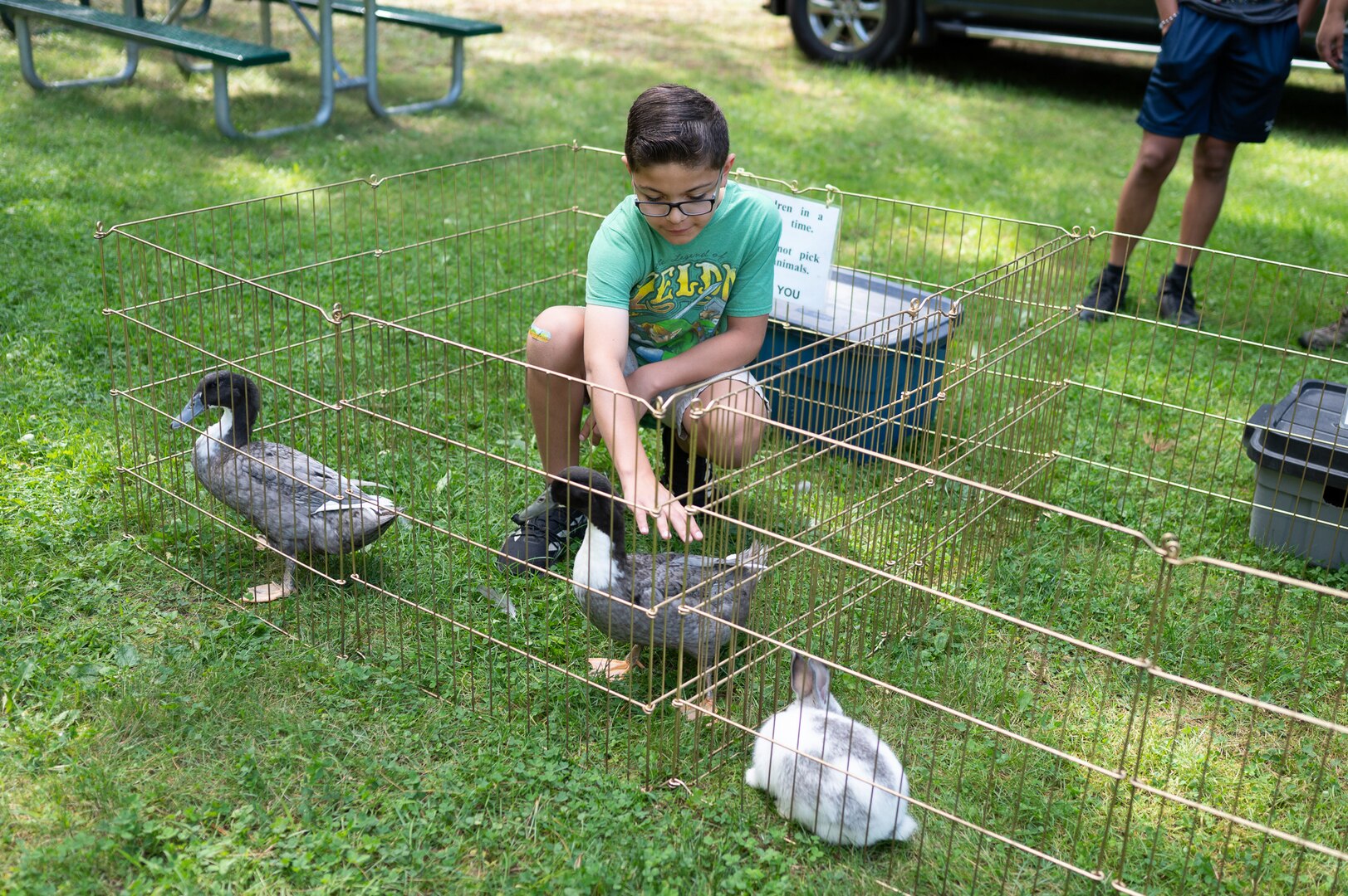 Image of child petting a duck.