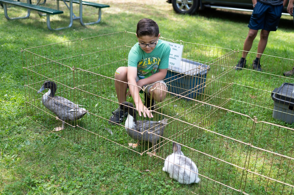 Image of child petting a duck.