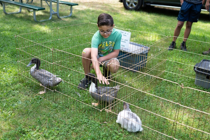 Image of child petting a duck.