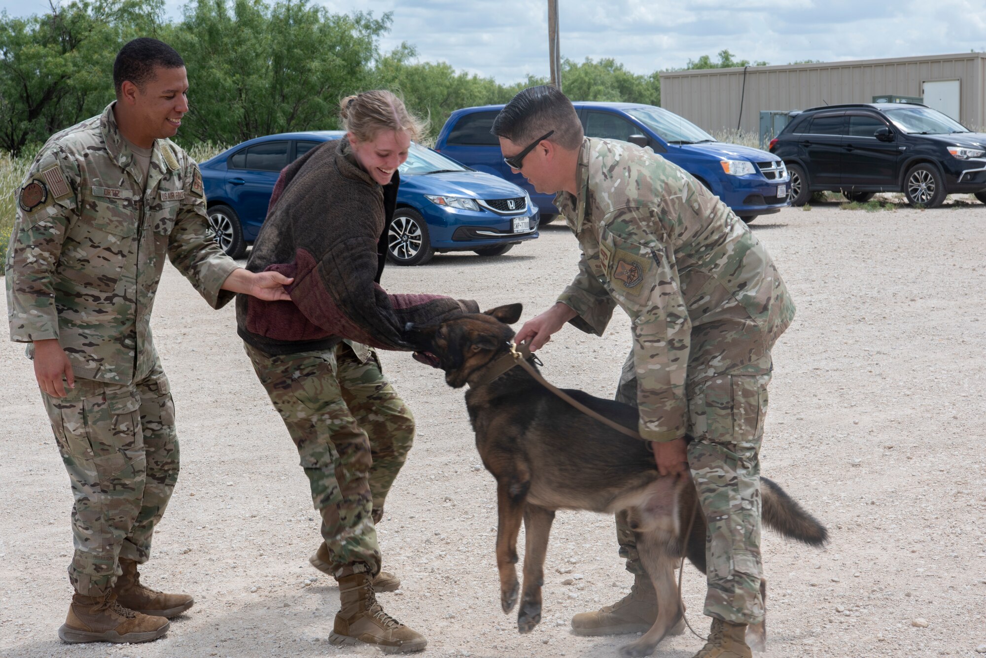 Airmen from the 7th Security Forces Squadron perform a military working dog demonstration during an Air Force cadet tour at Dyess Air Force Base, Texas, June 30, 2023. Dyess hosted groups of Academy and Air Force ROTC cadets in a program that offered prospective officers the opportunity to learn about the base mission and career fields they may be interested in. The cadets toured 14 units around the base like security forces, logistics, medical, flightline operations and civil engineering. (U.S. Air Force photo by Airman 1st Class Alondra Cristobal Hernandez)