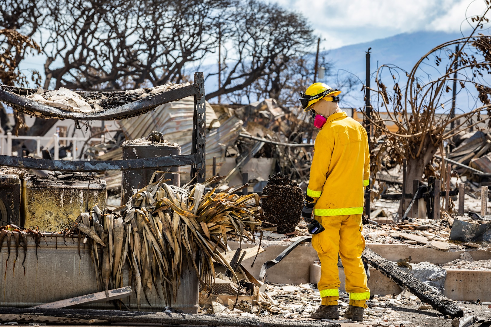Service members conduct search operations of areas damaged by wildfires.