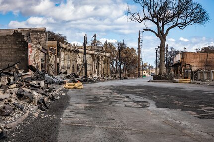 Damaged buildings and structures are shown during daylight hours after a wildfire swept through the area.