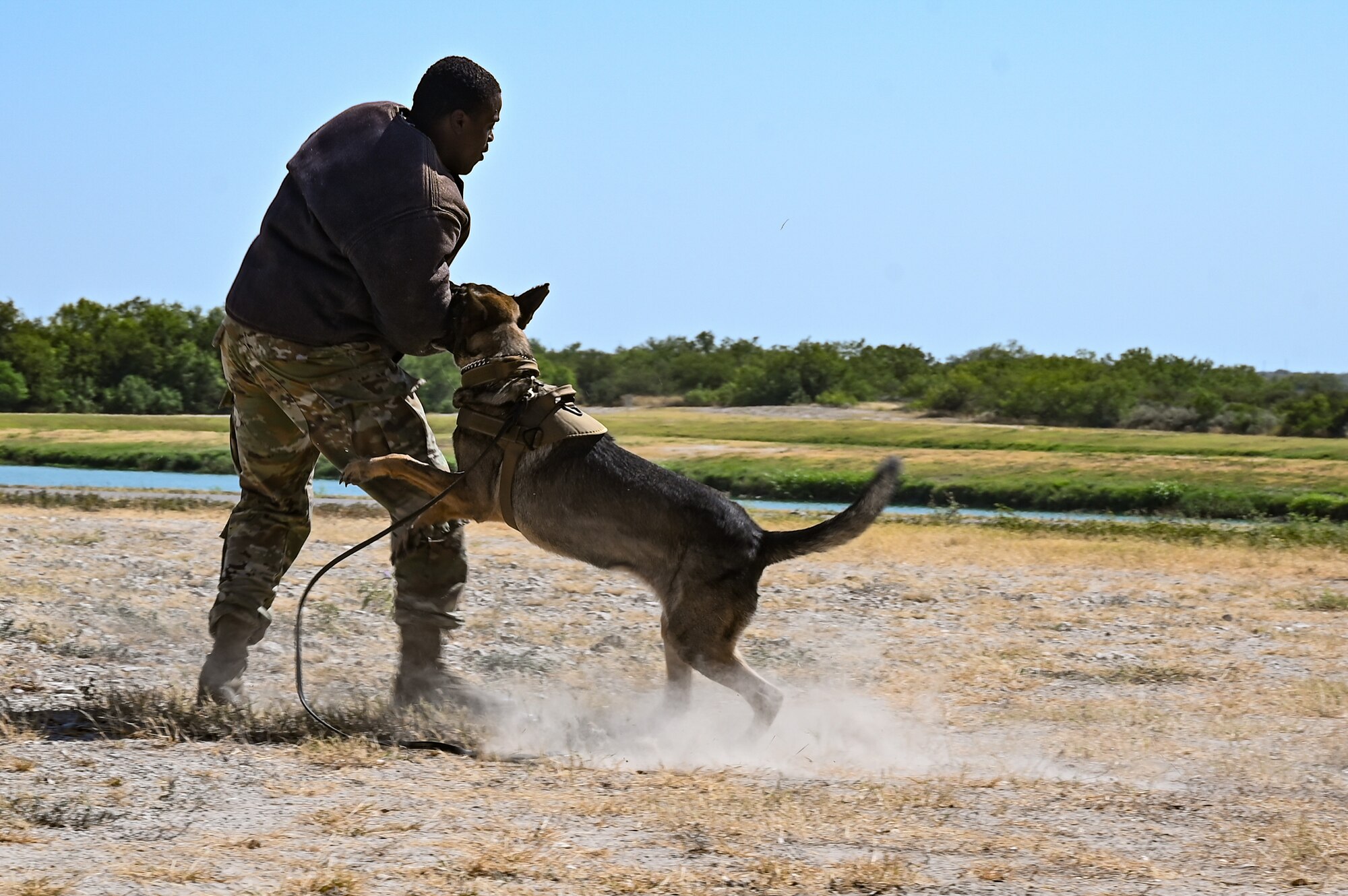 A U.S. Air Force Airman from the 47th Security Forces Squadron simulate K-9 protection capabilities during a base tour with the U.S. Border Patrol, Del Rio Sector leadership and the Val Verde County Sheriff's Department at Laughlin Air Force Base, Texas, Aug. 4, 2023. The K-9 demonstration showcased the capabilities and preparedness of Laughlin’s Defenders. (U.S. Air Force photo by Airman 1st Class Keira Rossman)